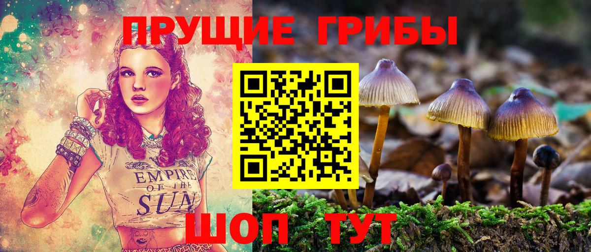 Галлюциногенные грибы GOLDEN TEACHER  Вход с VPN  Бузулук 