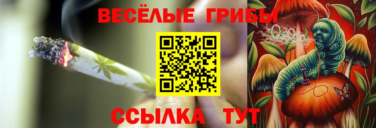 Псилоцибиновые грибы мицелий Бузулук